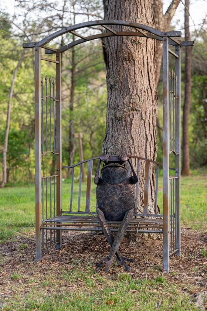 A whimsical bronze frog sculpture seated on an iron garden bench beneath a tall pine on the grounds.