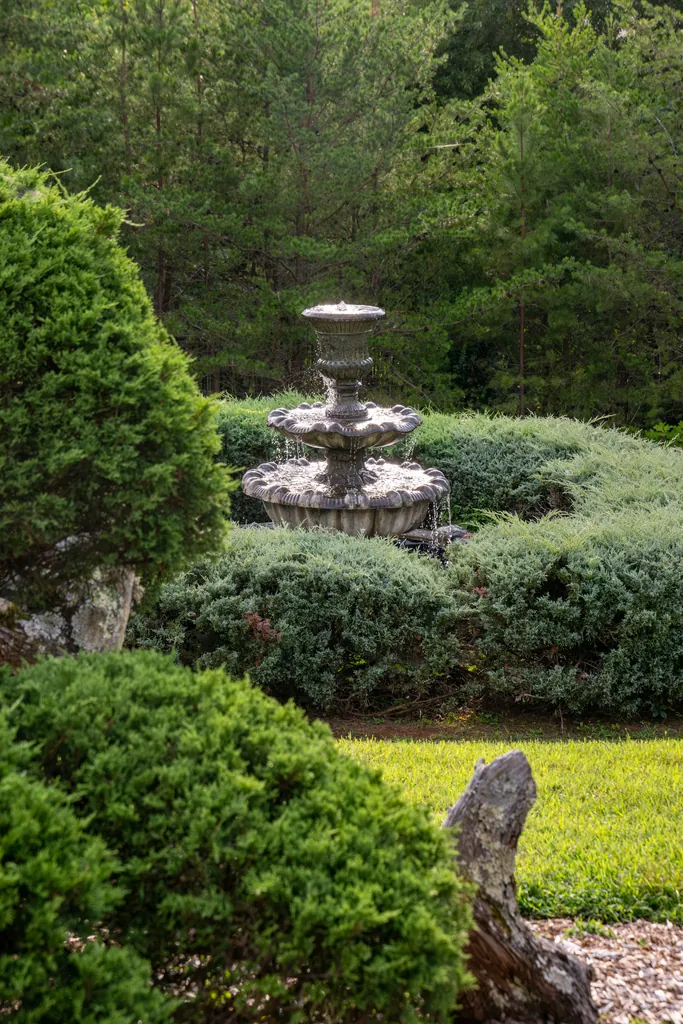 The tiered stone fountain rising from a bed of clipped junipers and boxwood, with tall pines behind.