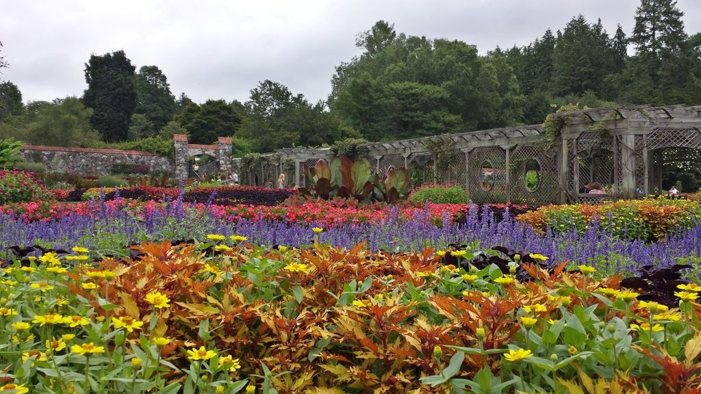 The walled garden at Biltmore Estate in full bloom with its pergola — fifteen minutes from The Reynolds Mansion in Asheville