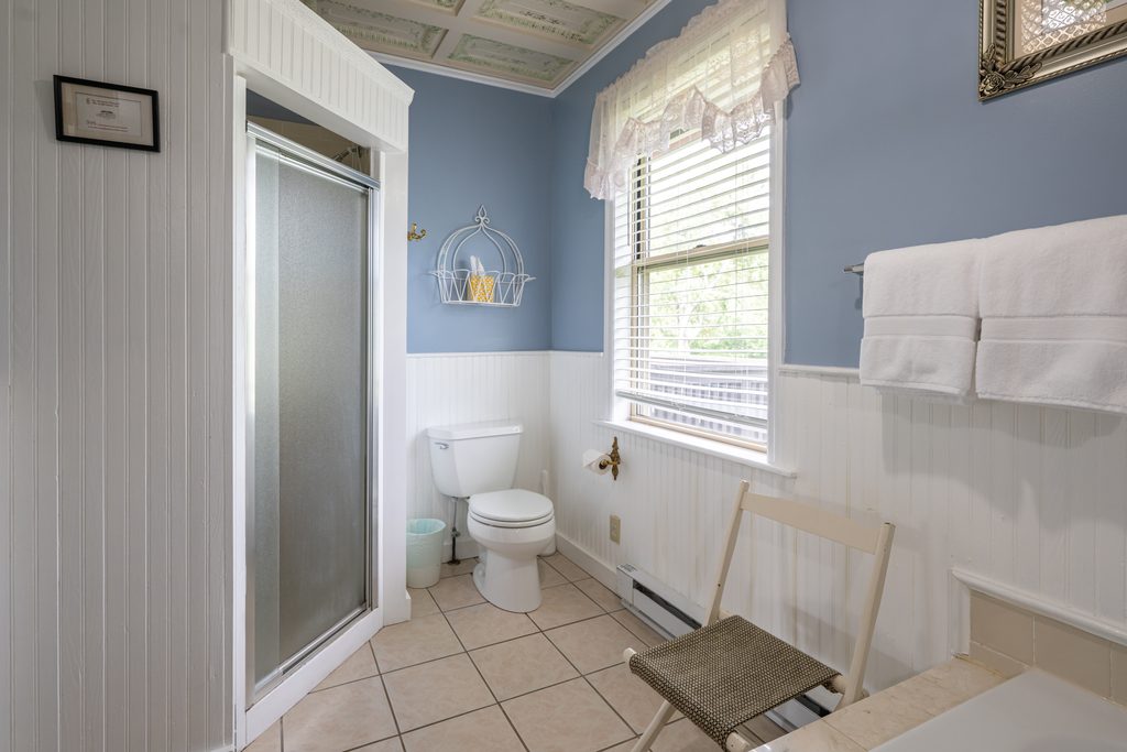 Blue Hydrangea suite — glass-door shower and window with valance in the private bathroom at The Reynolds Mansion Carriage House