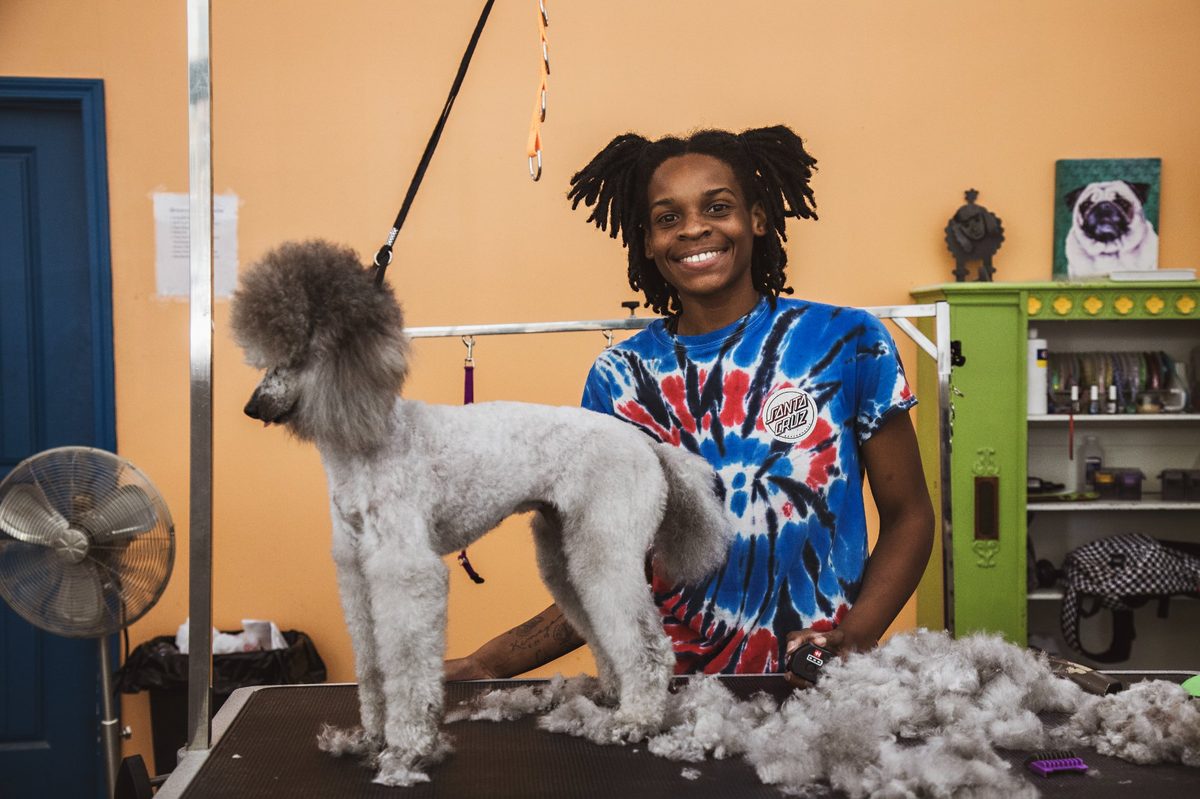 Shampoodles Salon groomer with a freshly groomed poodle — pet grooming for dogs and cats in Reynolds Village