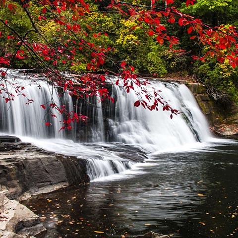 Waterfalls Reynolds Mansion | Asheville, NC