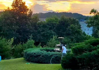 Sunset in a garden with trees and a fountain.